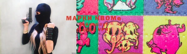 индика Корсаков