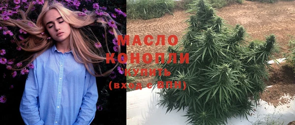 индика Корсаков