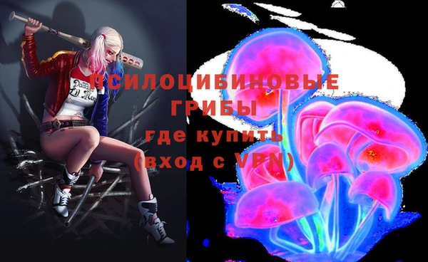 индика Корсаков