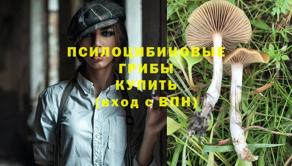 соль курить ск Костерёво