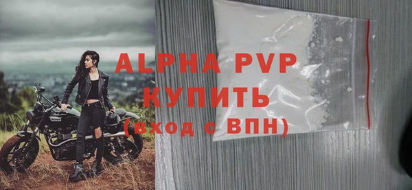 индика Корсаков